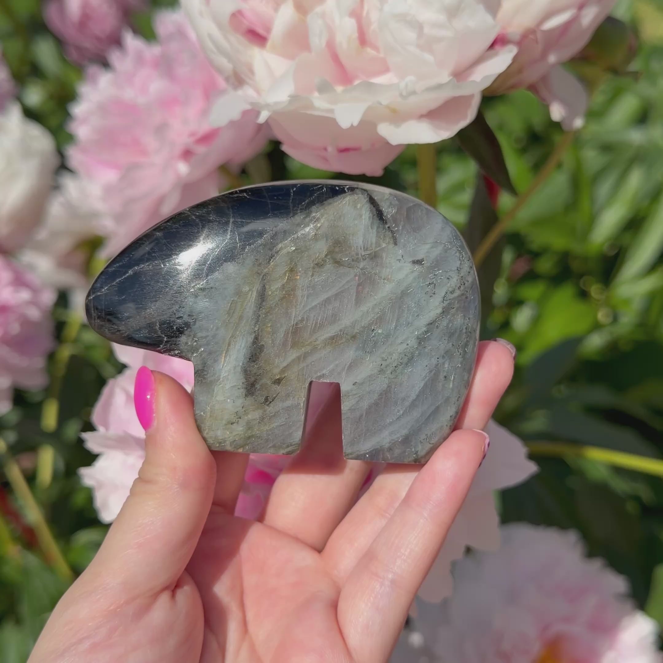 Labradorite Bears (Choose Your Own)