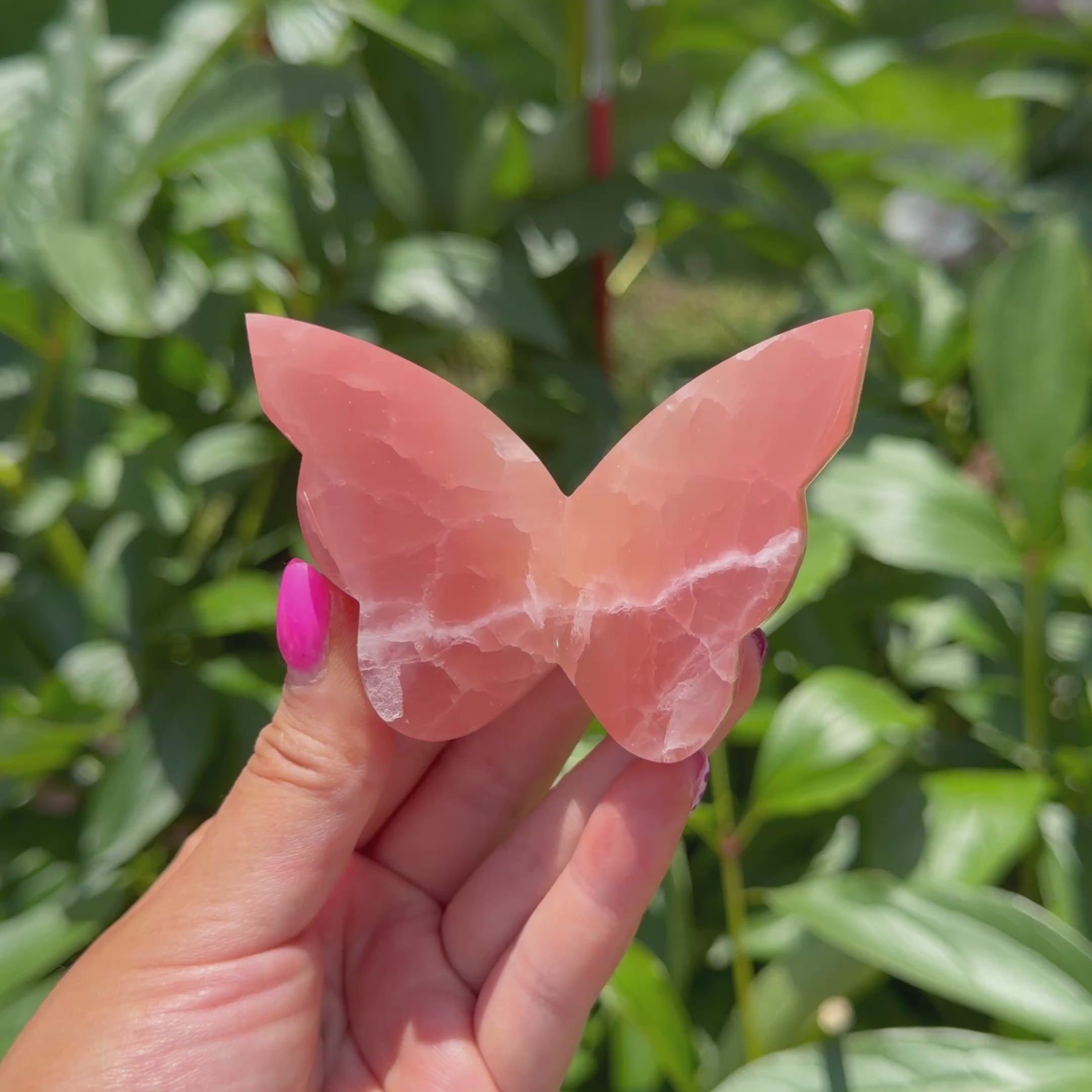 Rose Calcite Butterfly (Choose Your Own)