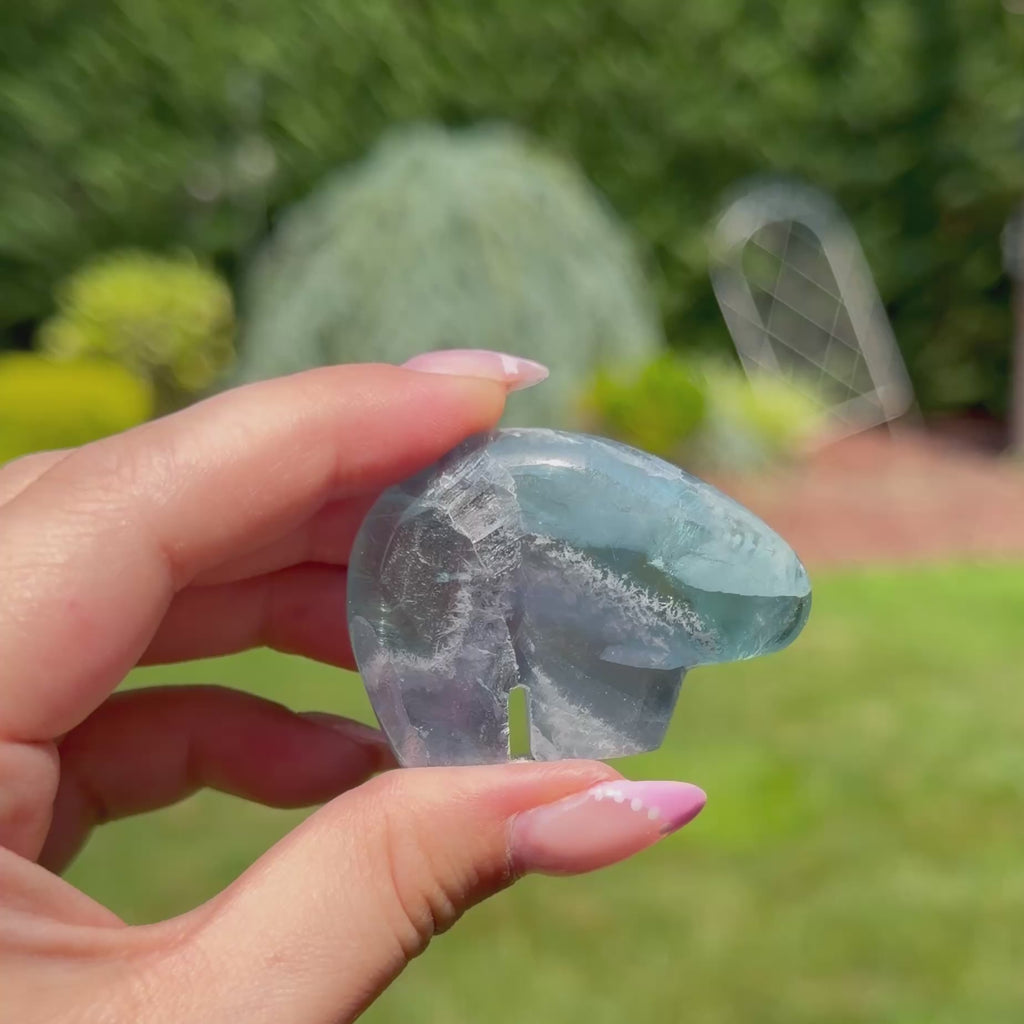Durango Fluorite Mini Bear (Choose Your Own)