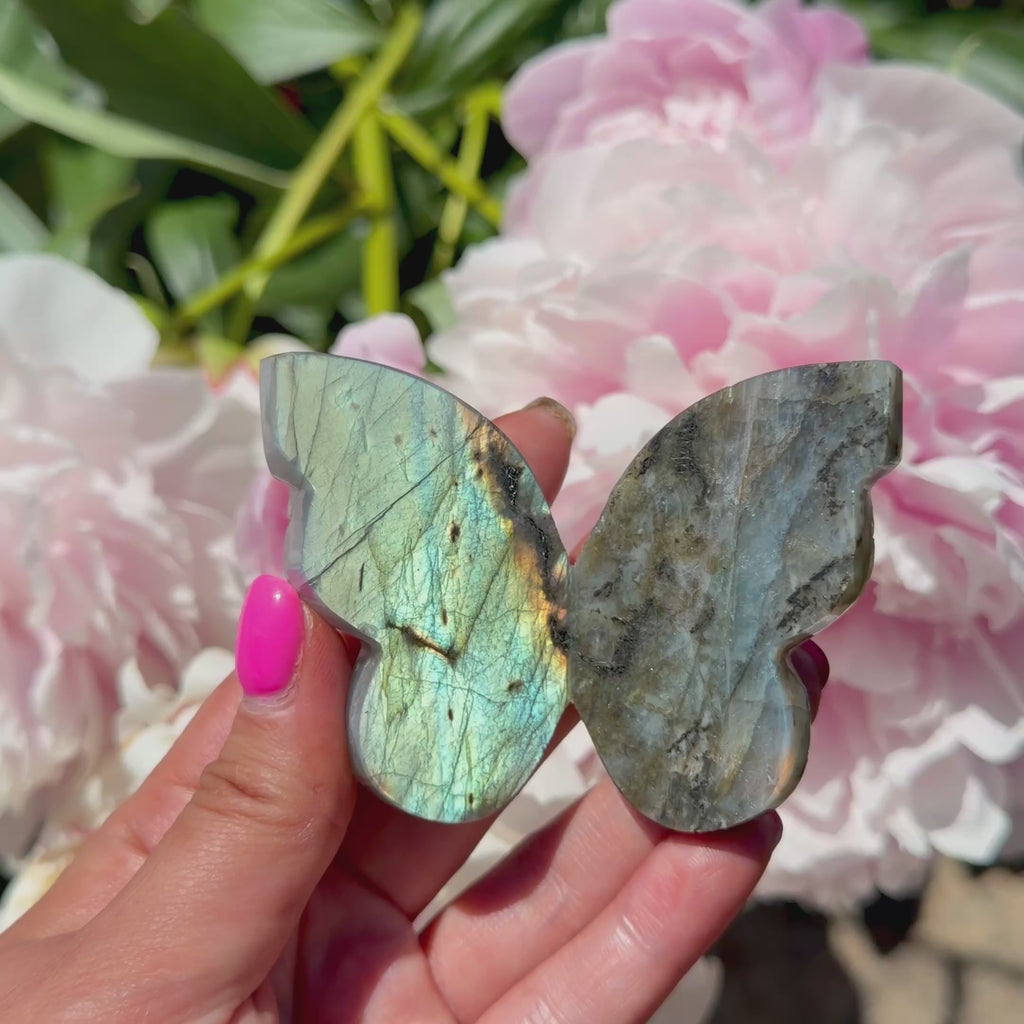 Labradorite Butterfly (Choose Your Own)