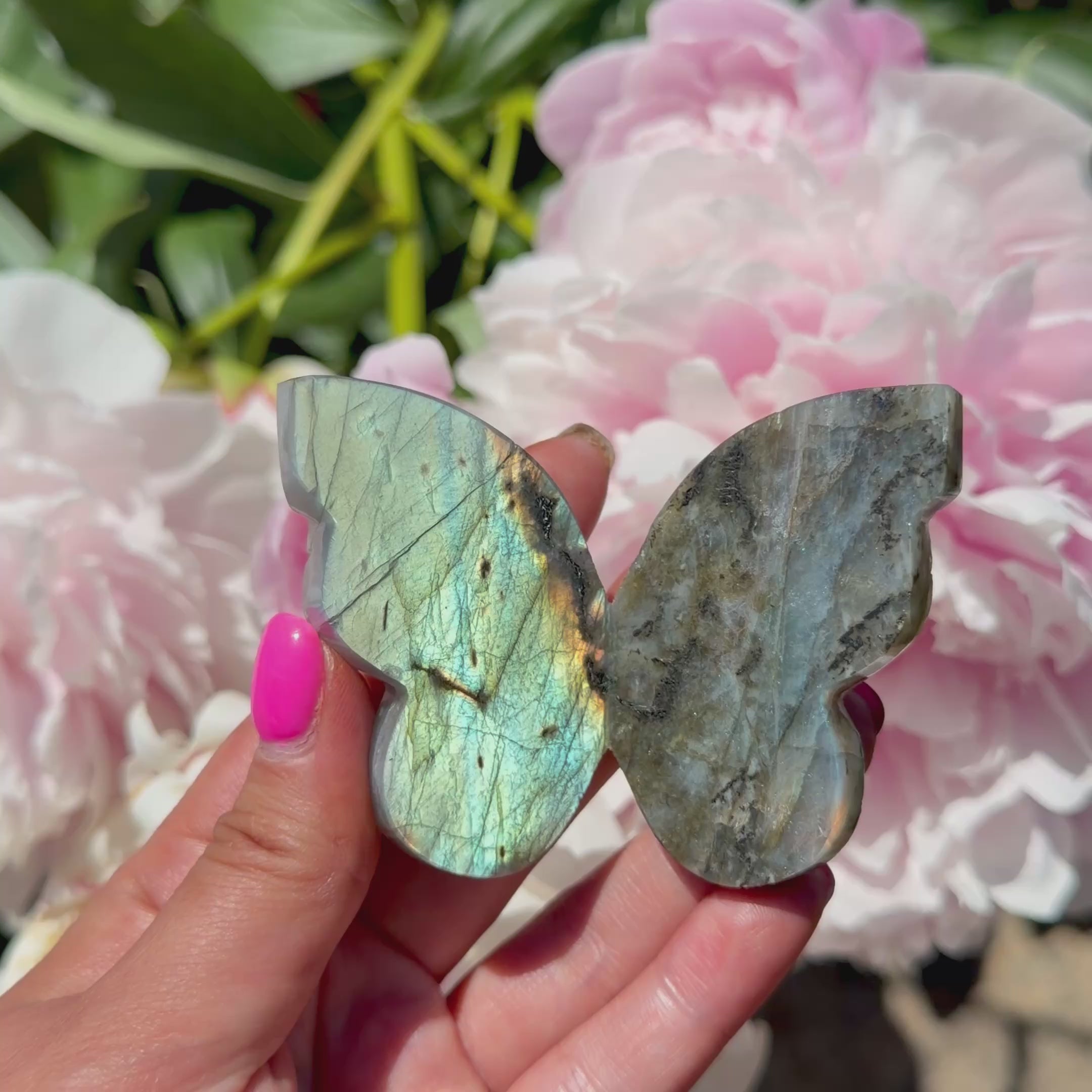 Labradorite Butterfly (Choose Your Own)