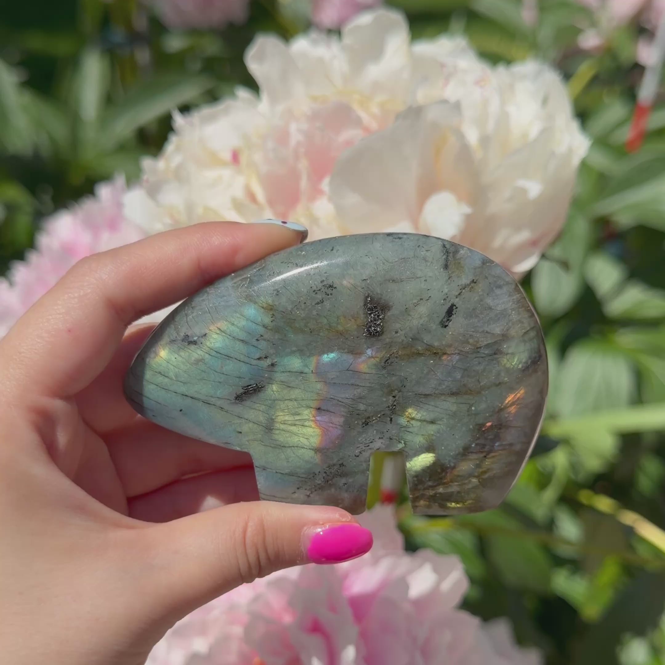 Labradorite Bears (Choose Your Own)