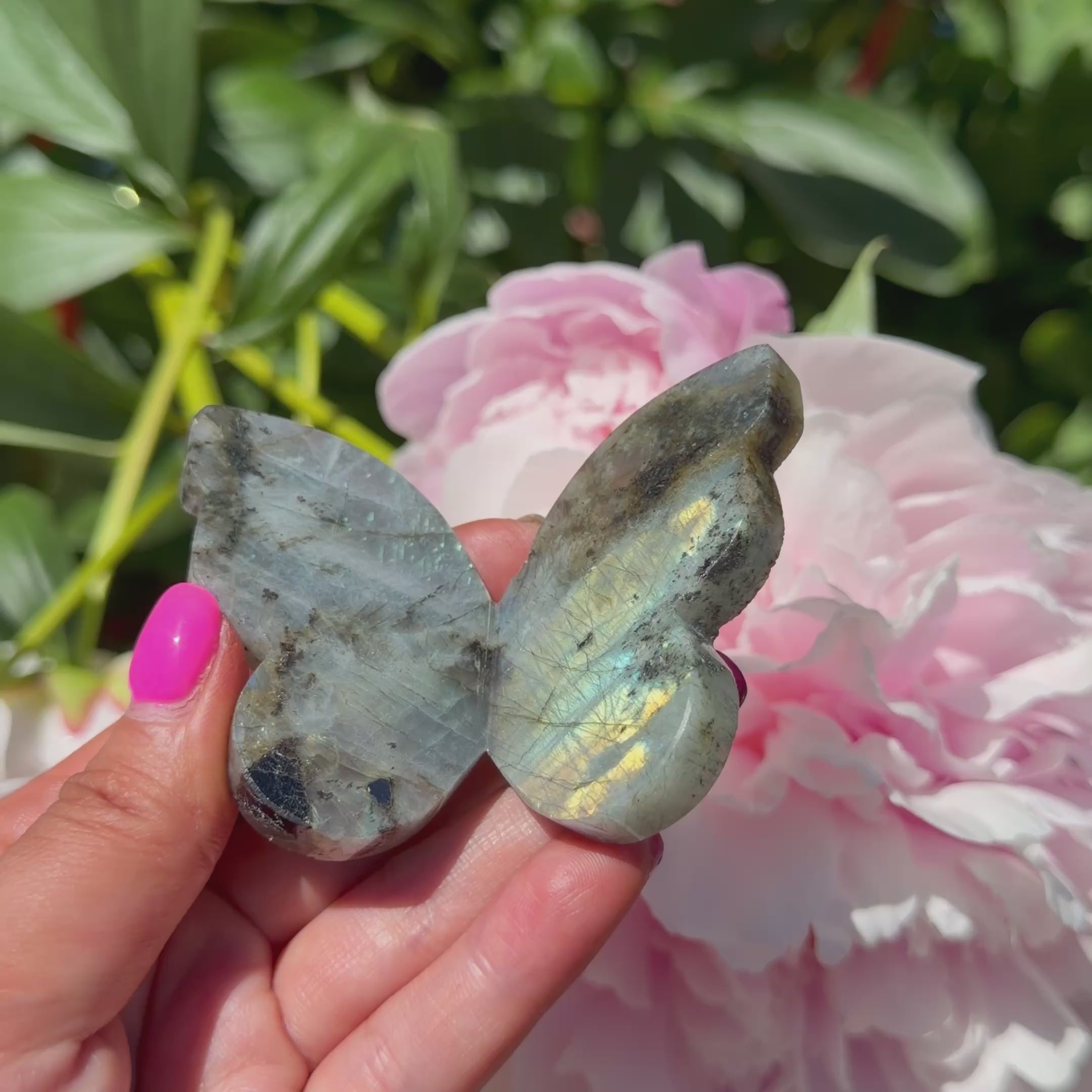 Labradorite Butterfly (Choose Your Own)