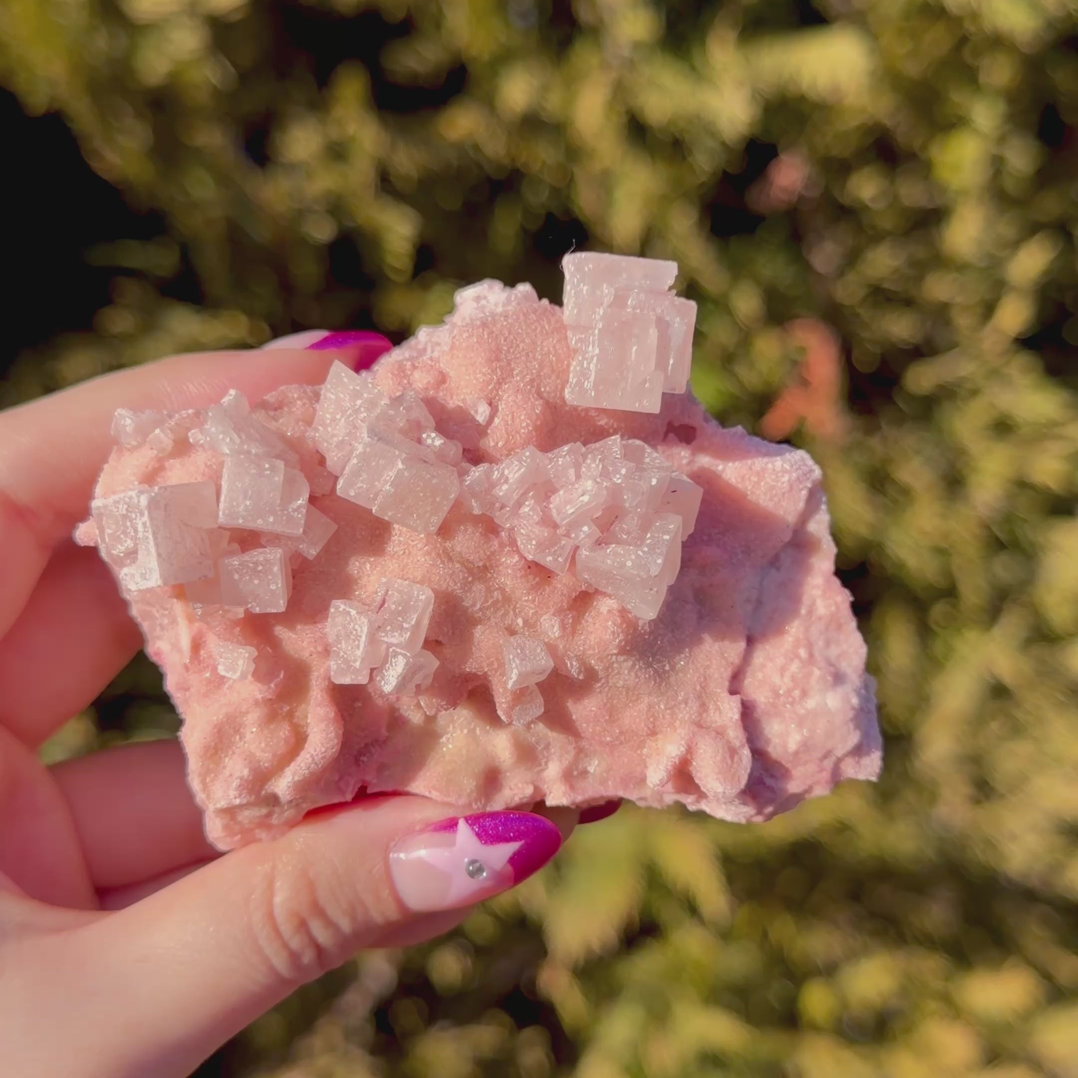 Pink Halite Crystal Cluster F
