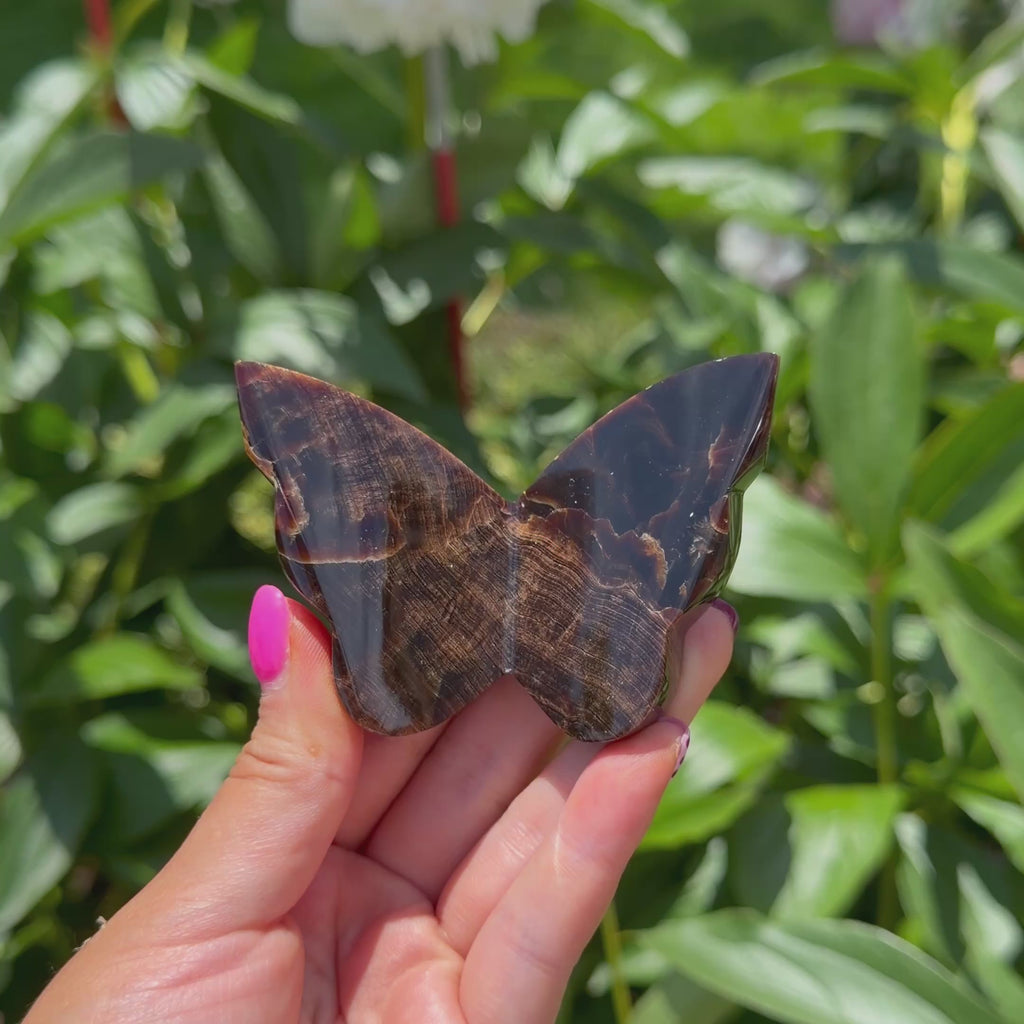 Chocolate Calcite Butterfly (Choose Your Own)