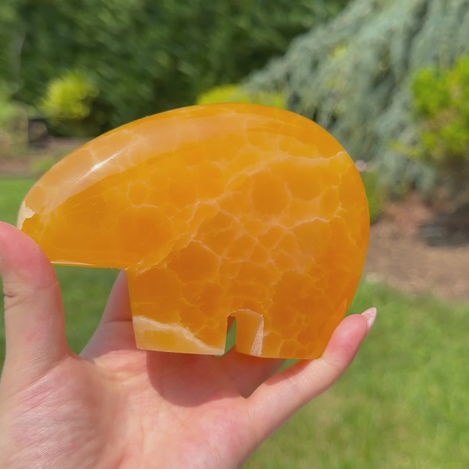 Honey Calcite Statement Bear (Choose Your Own)