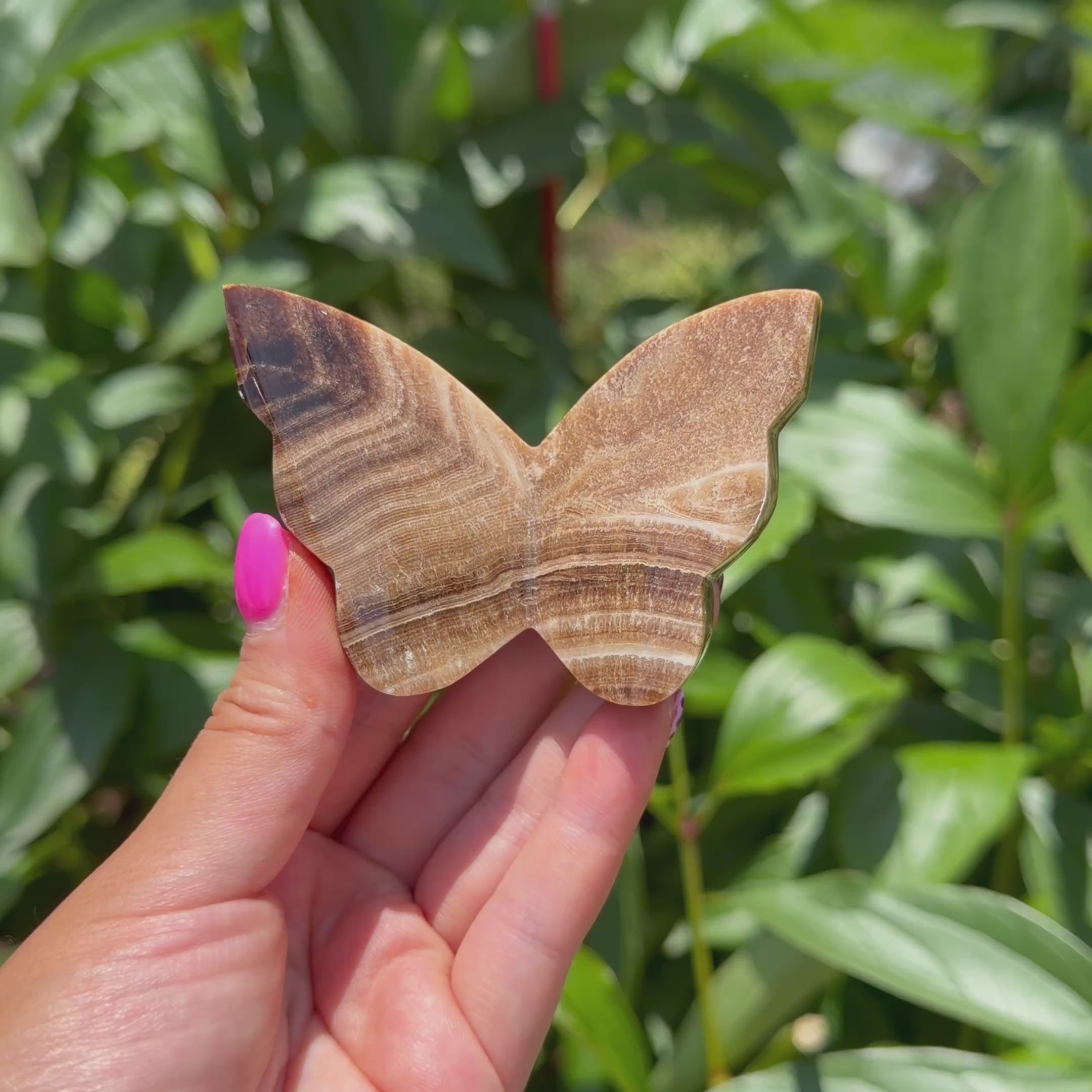 Chocolate Calcite Butterfly (Choose Your Own)