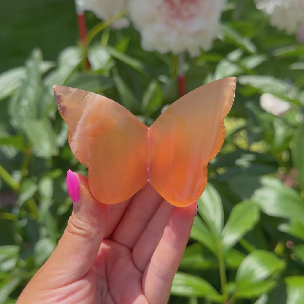 Honey Calcite Butterfly (Choose Your Own)