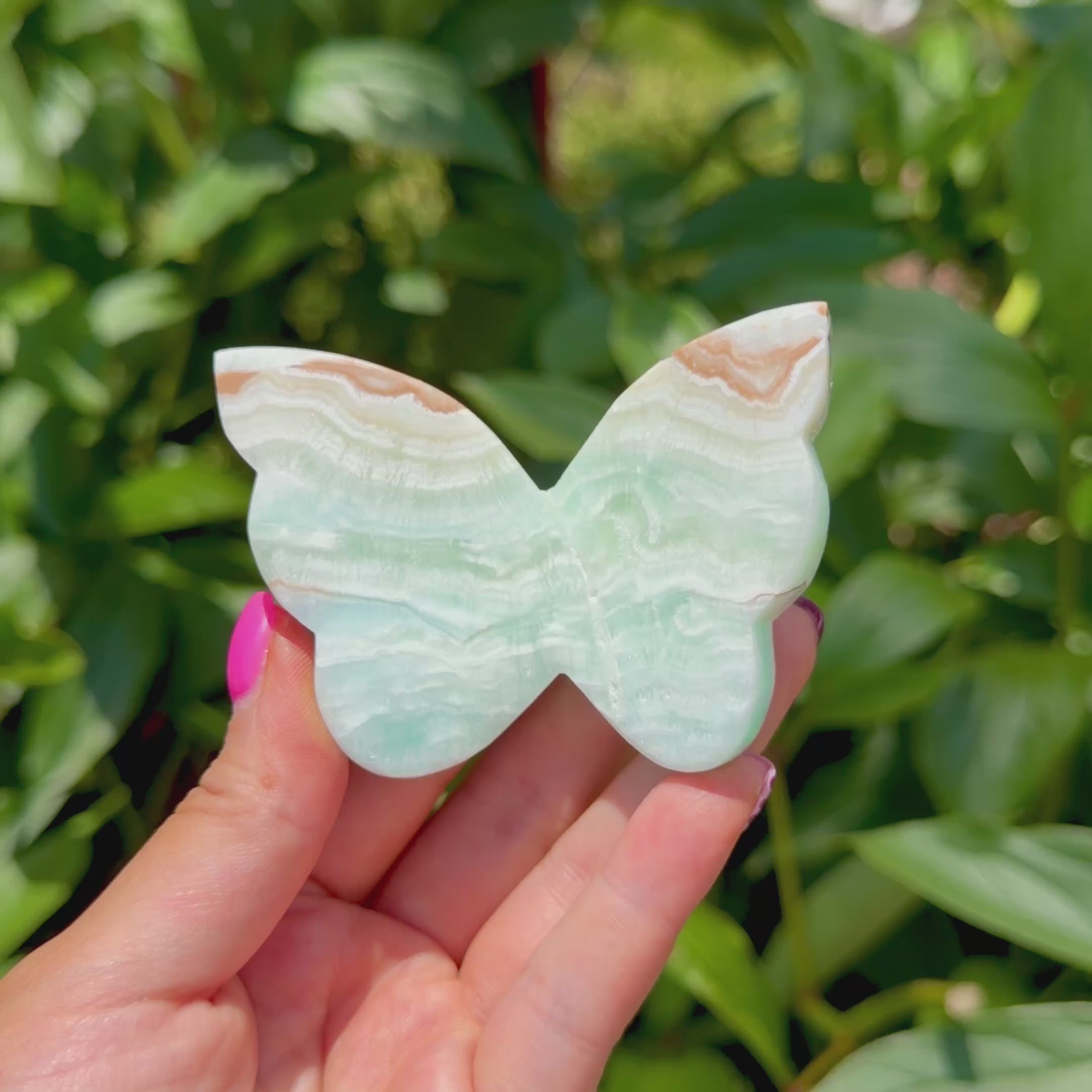Caribbean Calcite Butterfly (Choose Your Own)
